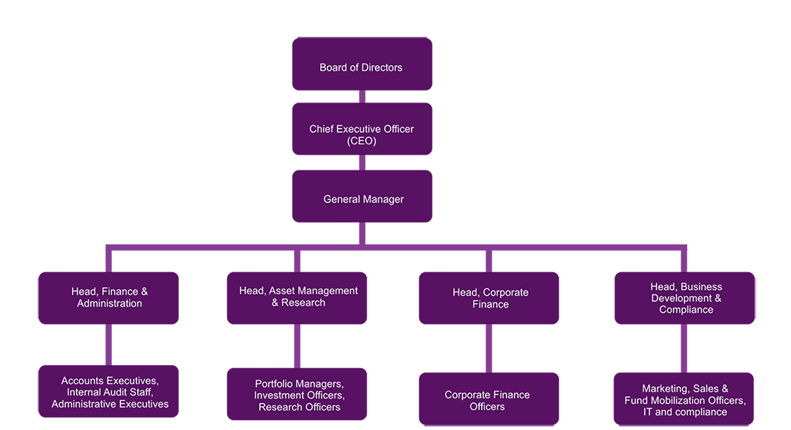 Organisational structure of NGIS